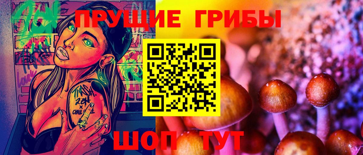 Псилоцибиновые грибы GOLDEN TEACHER  Вход с VPN  Фролово 