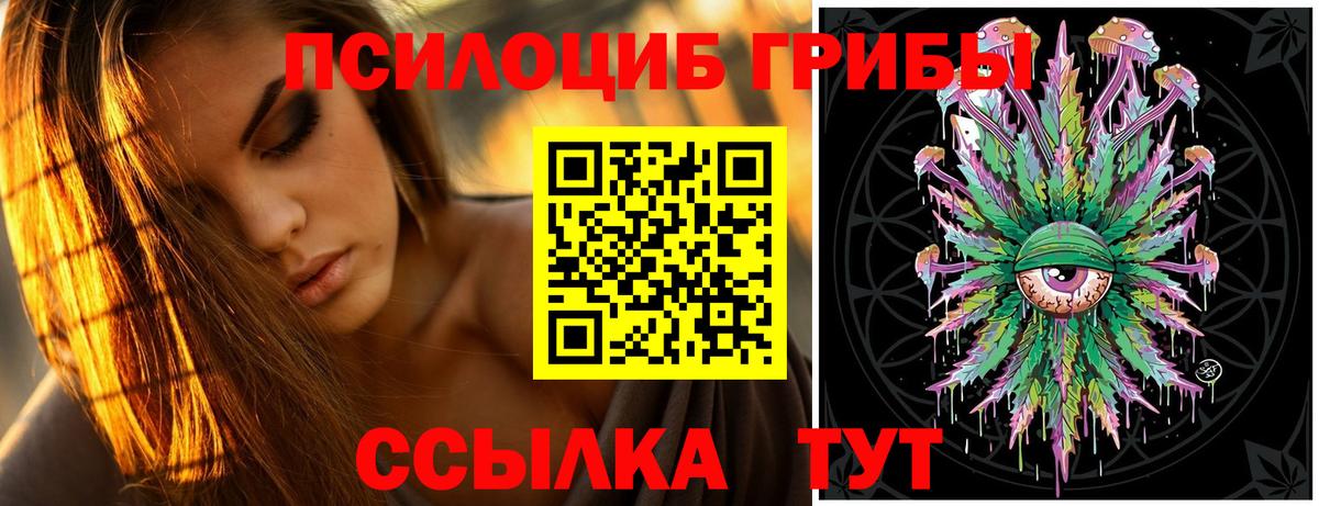 Псилоцибиновые грибы GOLDEN TEACHER Фролово