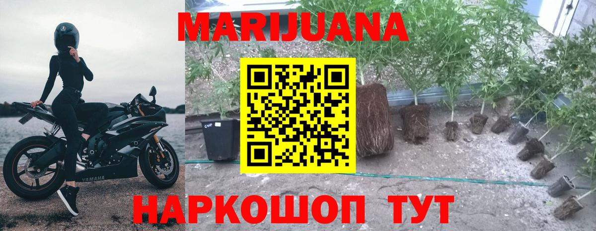 Фролово  Каннабис Ganja  Бошки марихуана Ganja  Бошки Шишки марихуана  Канабис OG Kush  Вход с VPN 